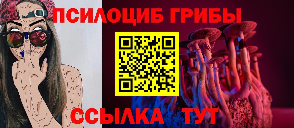 Феодосия  Галлюциногенные грибы Psilocybe  Вход с VPN  Псилоцибиновые грибы Cubensis 